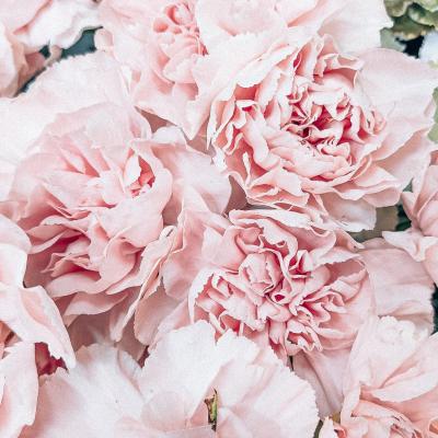 Rikonavt K3x Aklvtao Unsplash